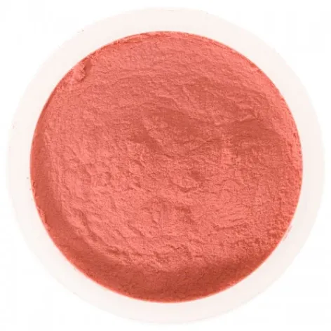 Strawberry Spray Dried Powder